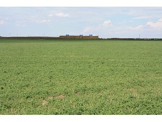Property photo 21 - LAND AUCTION, 3255+/- Acres offered in 13 Tracts